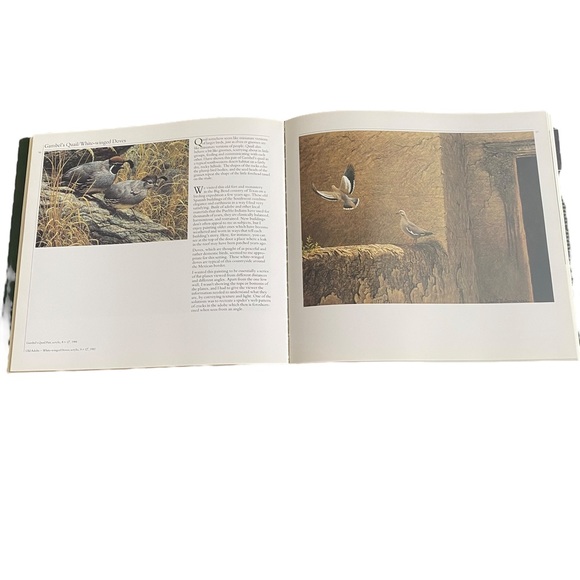 The Art of Robert Bateman Coffee Table Book Ramsay Derry 1985 Animal Wildlife - Picture 4 of 8